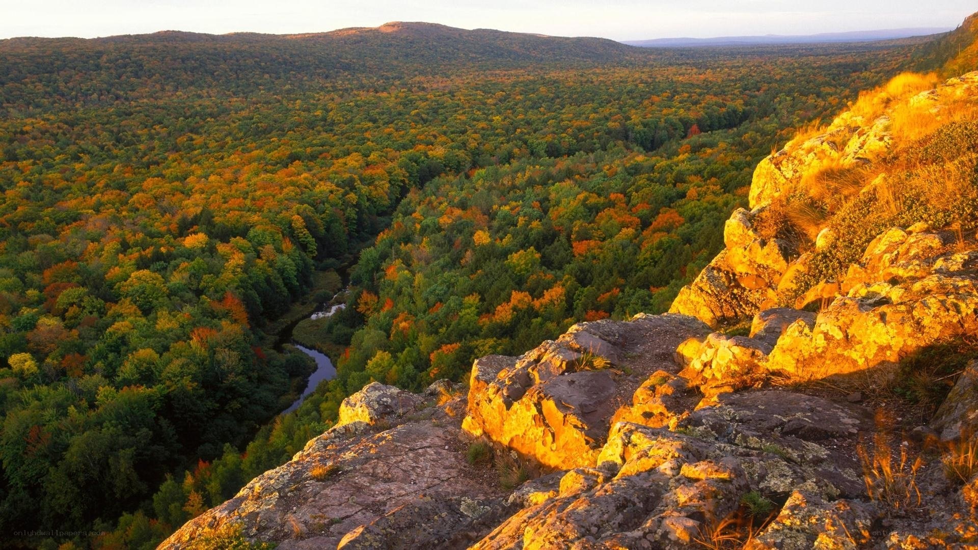 autumn forest valley view
