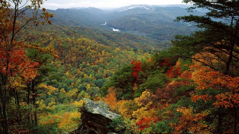 Autumn forest valley view