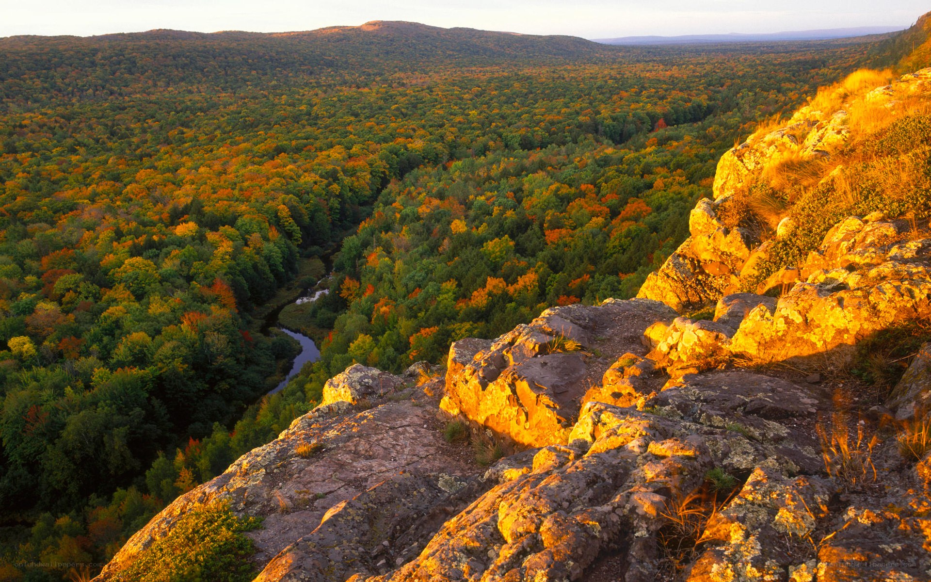 autumn forest valley view