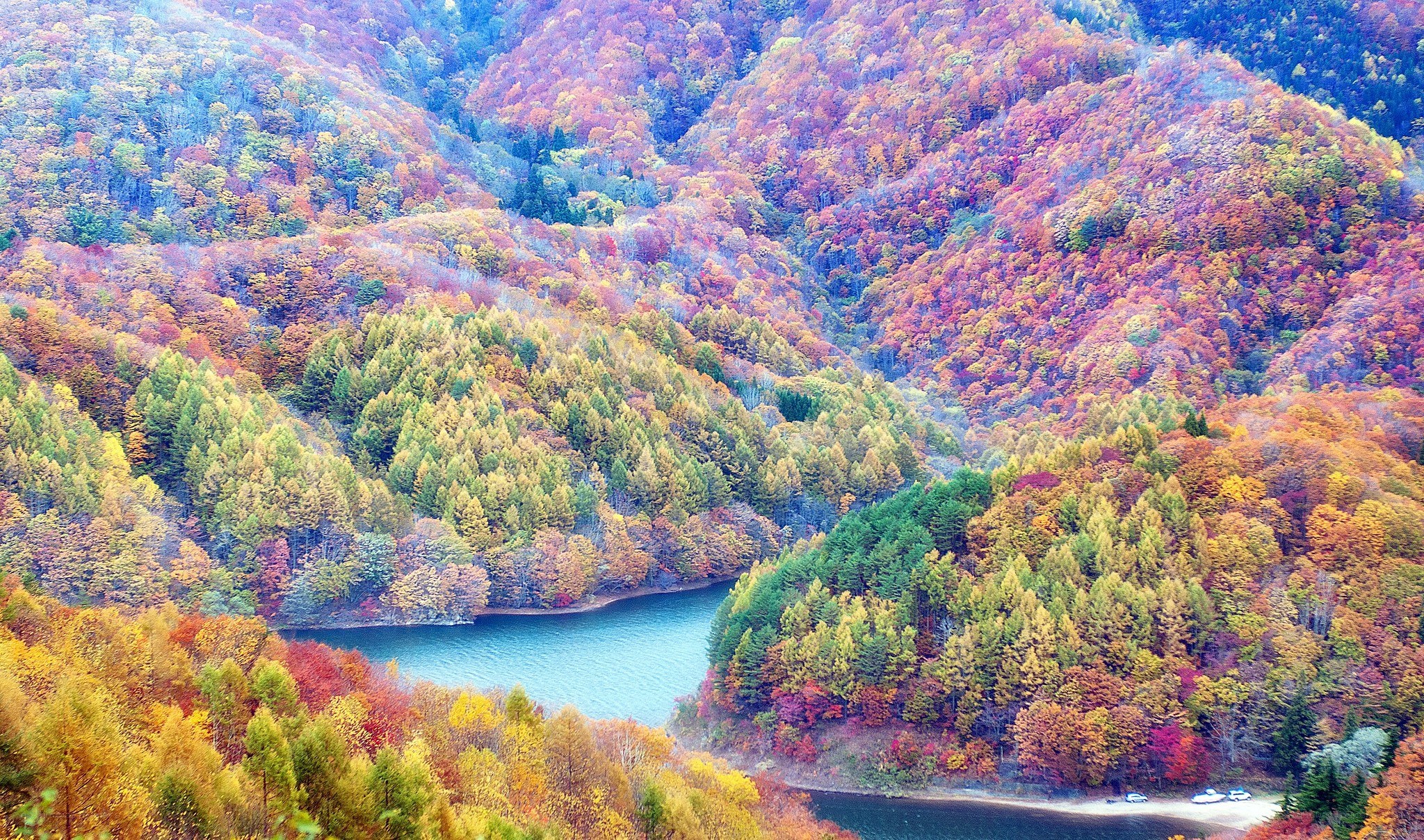 Autumn forest valley with lake