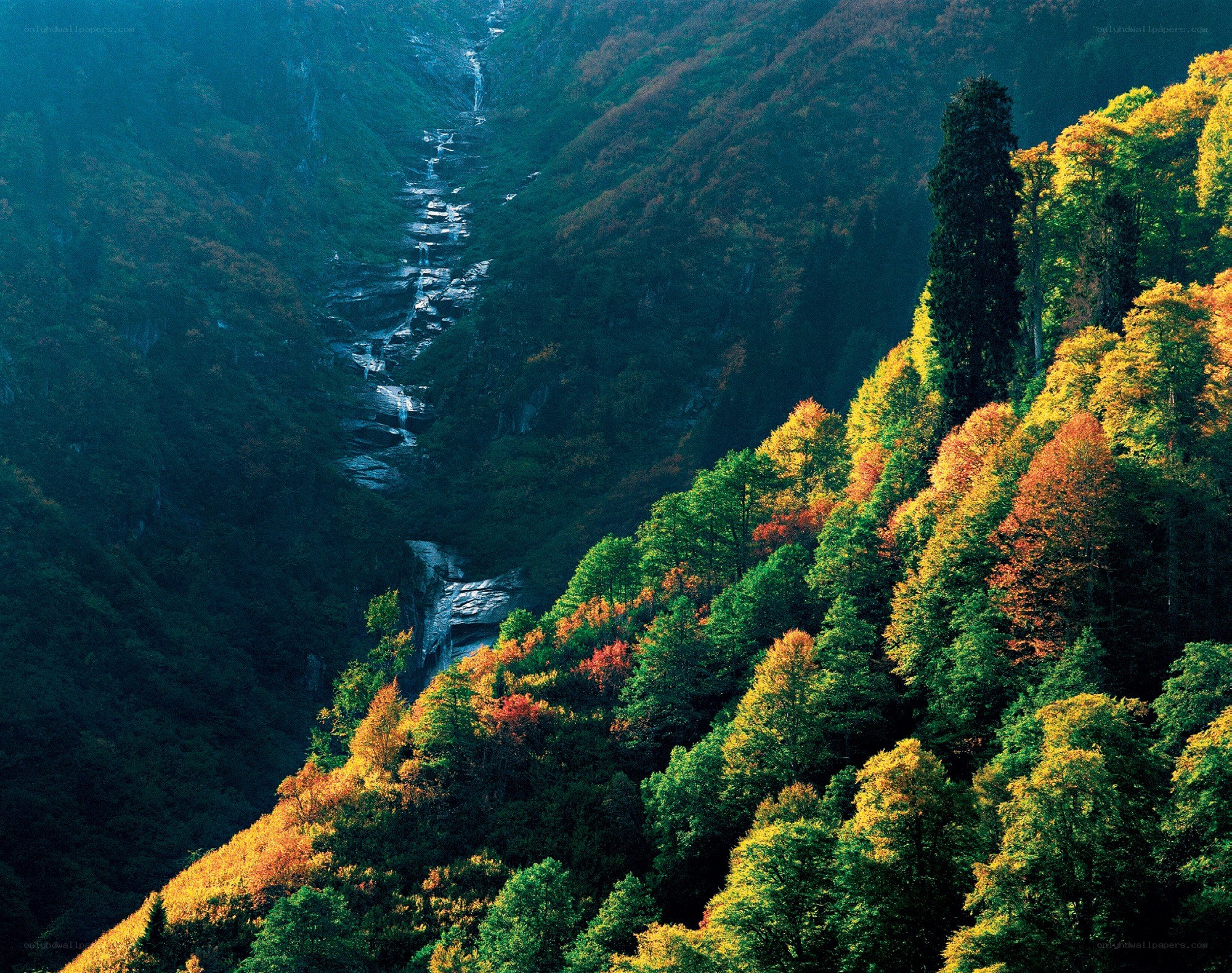 autumn forest valley with waterfall