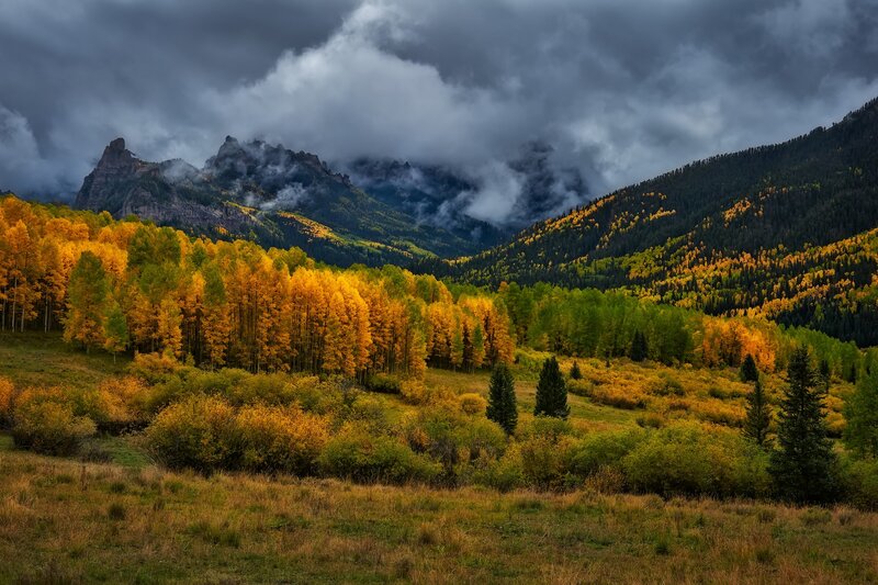 Autumn Forest Valley — Yellow, Dramatic, Photograph, Mountains