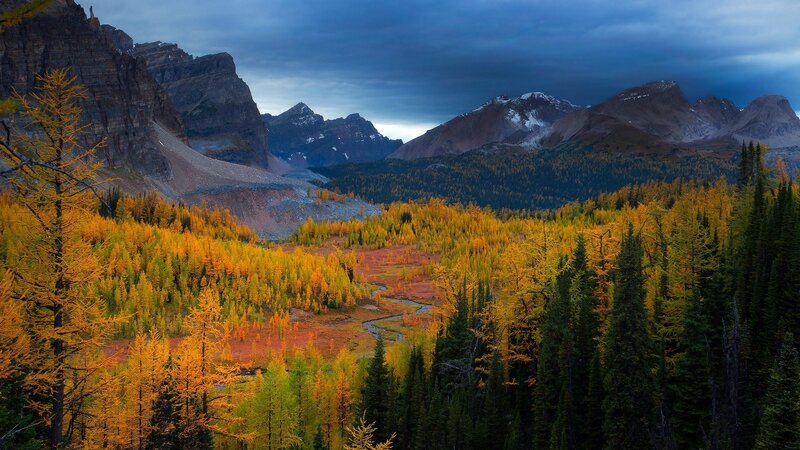 Autumn Forest Valley — Yellow, Dramatic, Photograph