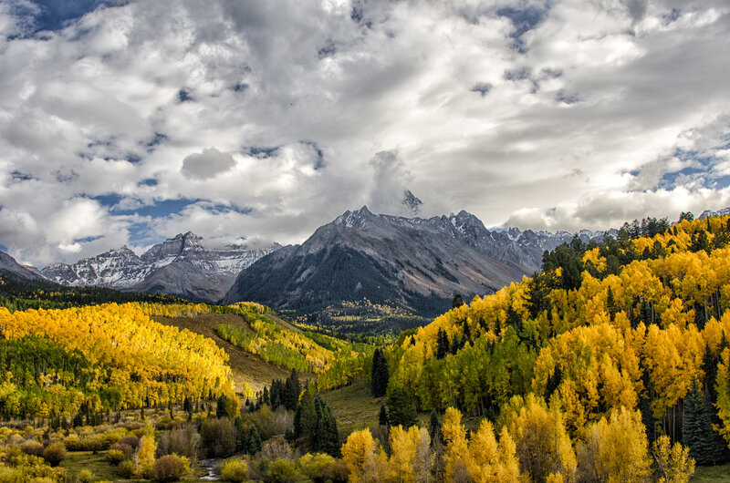Autumn Forest Valley — Yellow, Dramatic