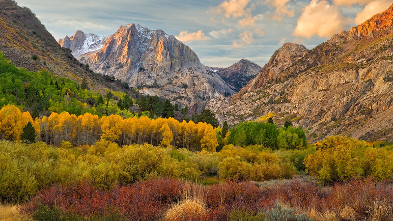 Autumn Forest Valley — Yellow, Serene, Sunset, Photograph