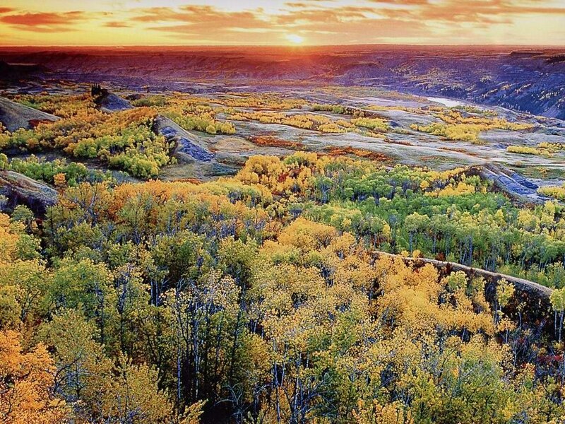 Autumn Forest Valley — Yellow, Serene, Sunset
