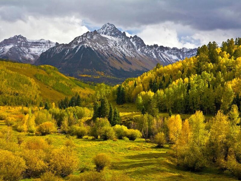 Autumn Forest Valley — Yellow, Serene