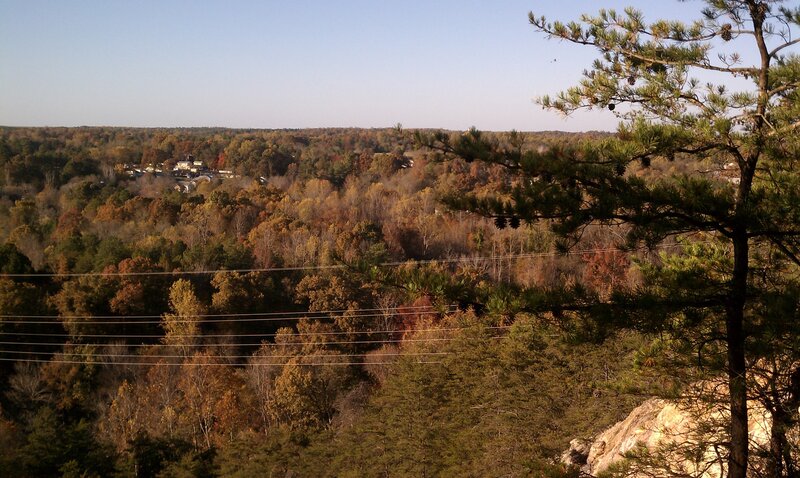 Autumn forest view from hill