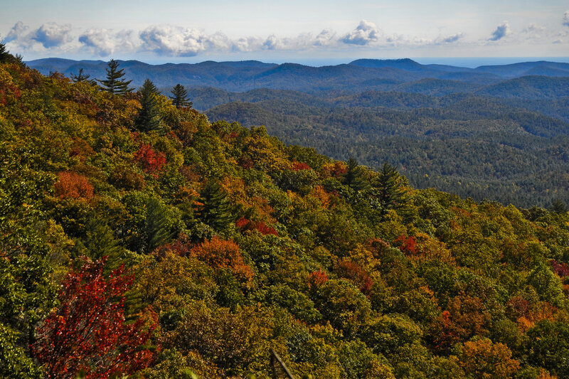 Autumn forest view from mountain