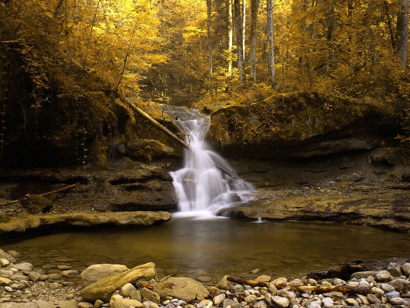 Autumn forest waterfall