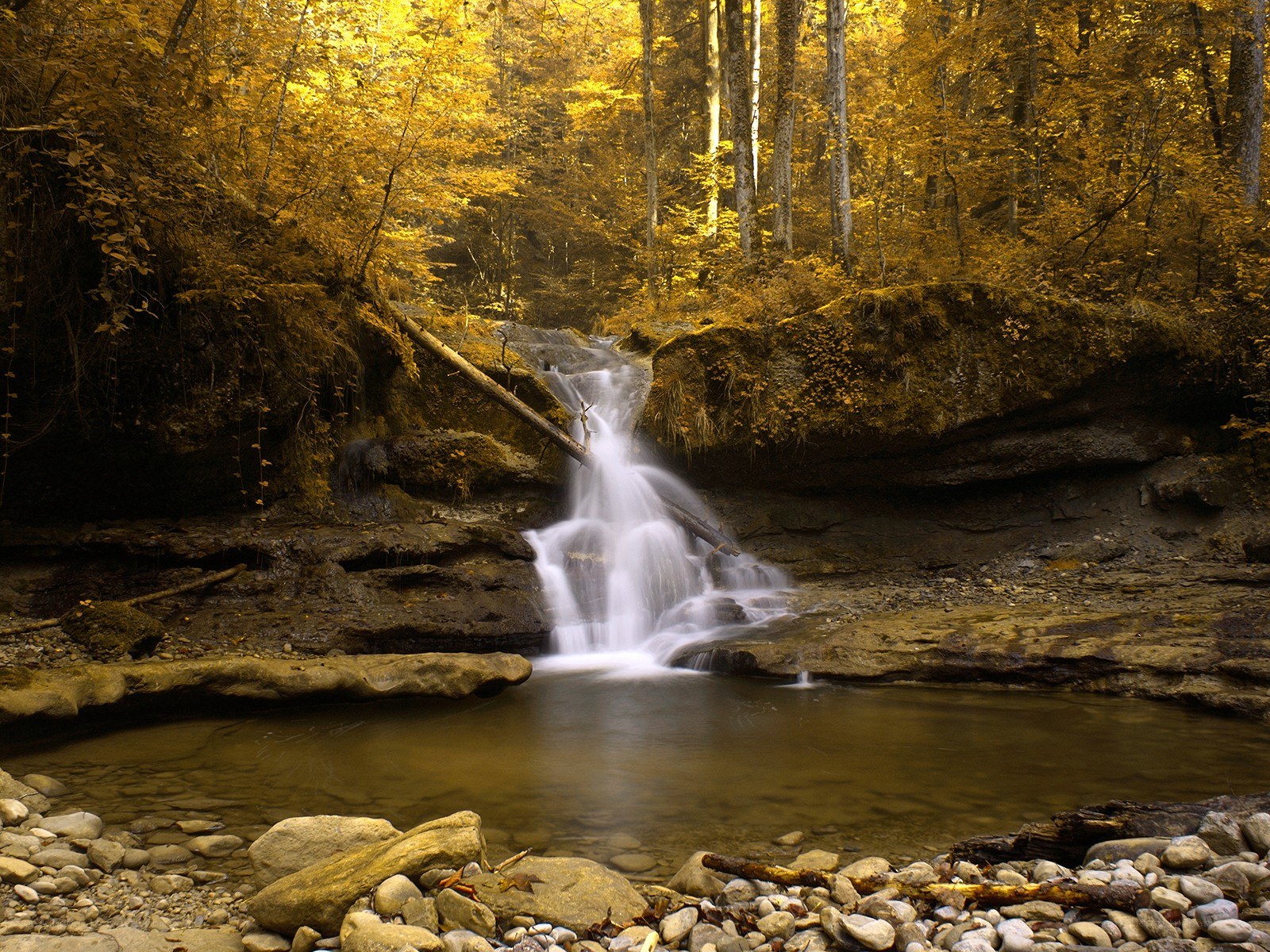 Autumn forest waterfall