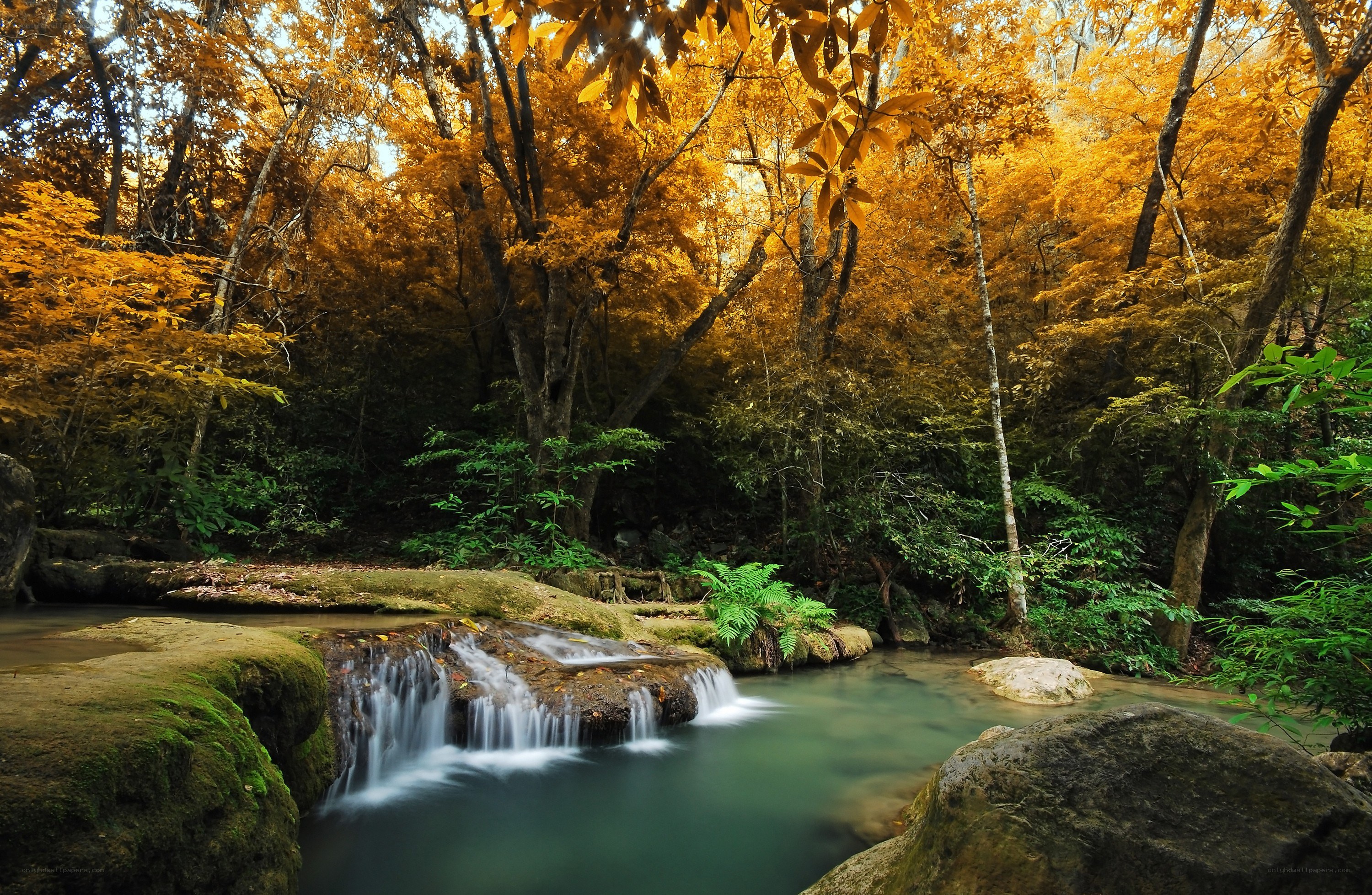 Autumn forest waterfall