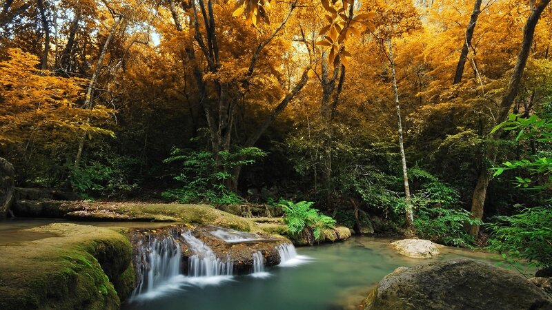 Autumn forest waterfall