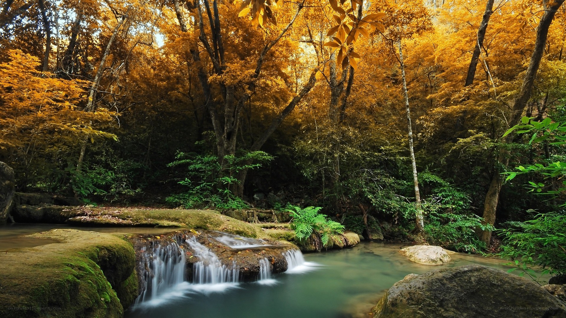 Autumn forest waterfall