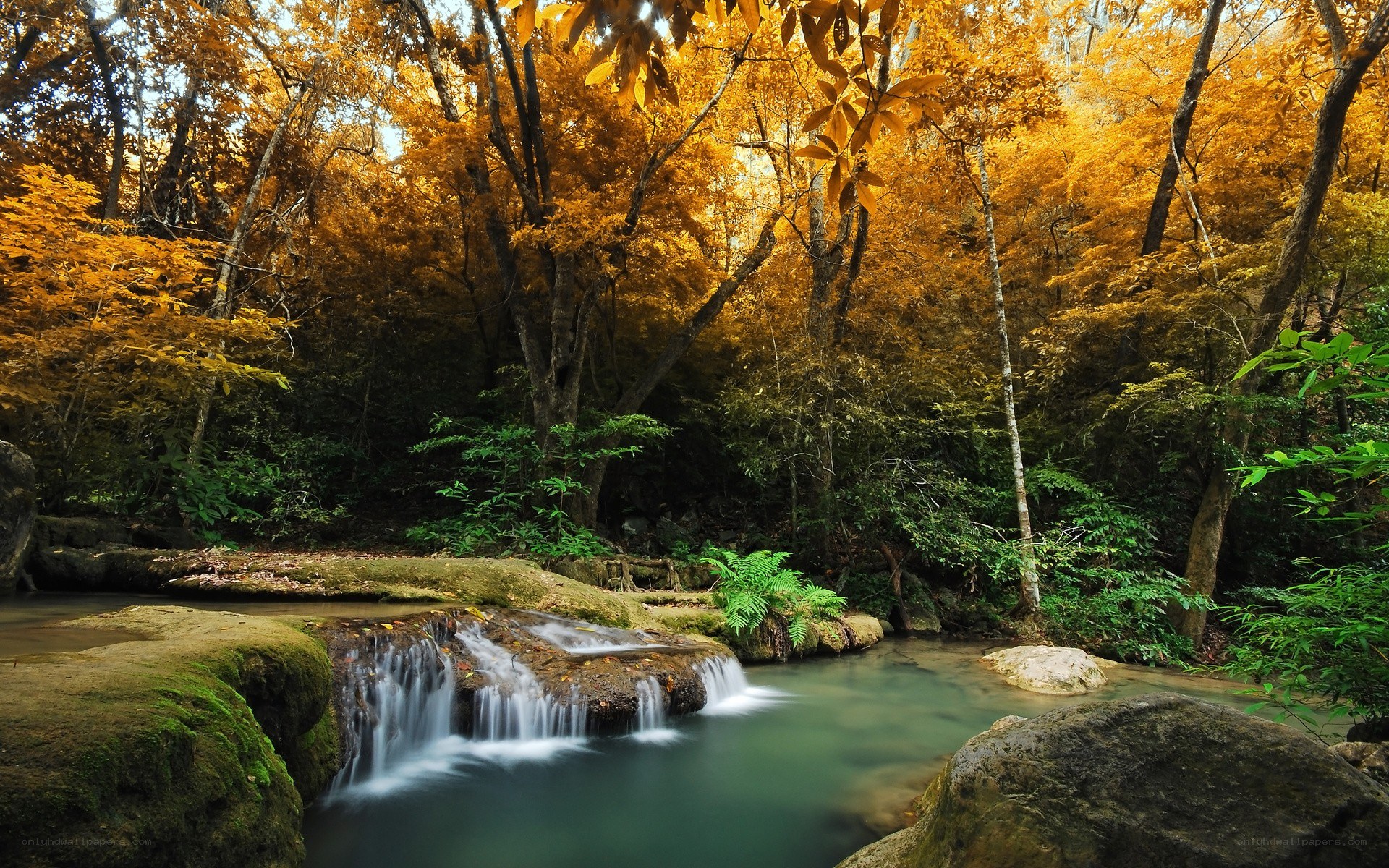 Autumn forest waterfall
