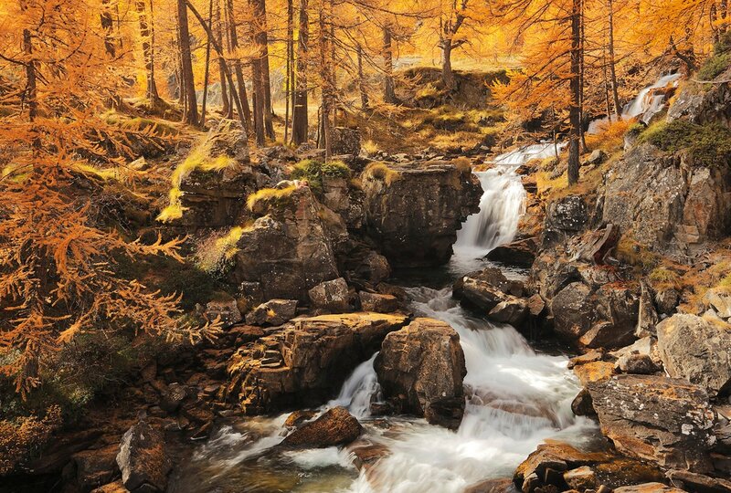 Autumn forest waterfall