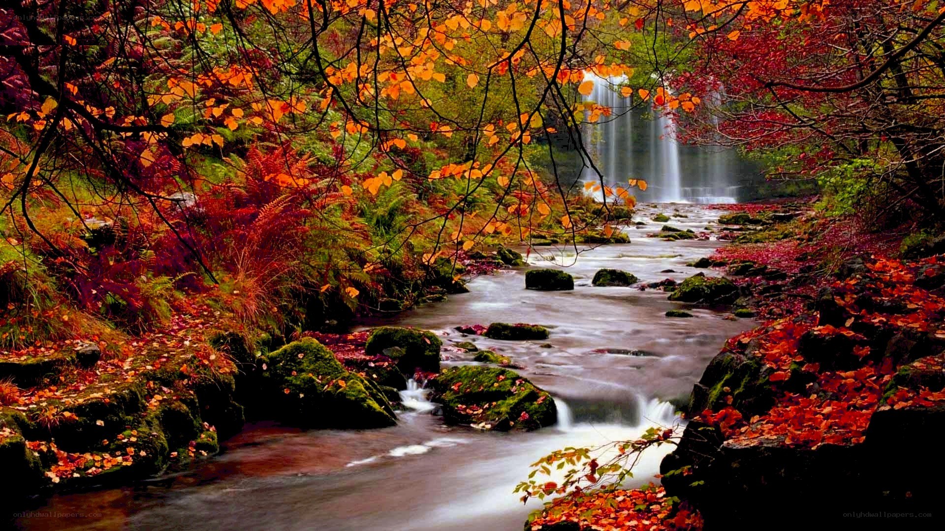 Autumn forest waterfall