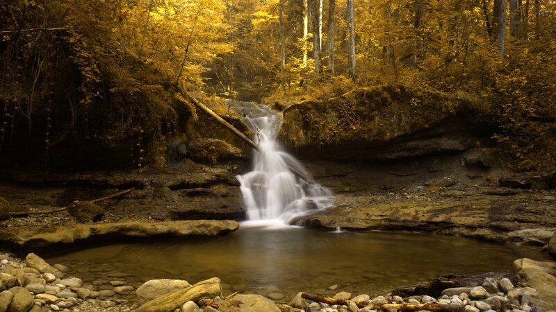 Autumn forest waterfall