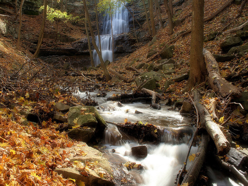 Autumn forest waterfall