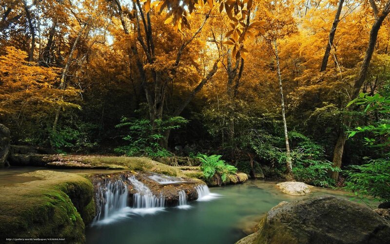 Autumn forest waterfall