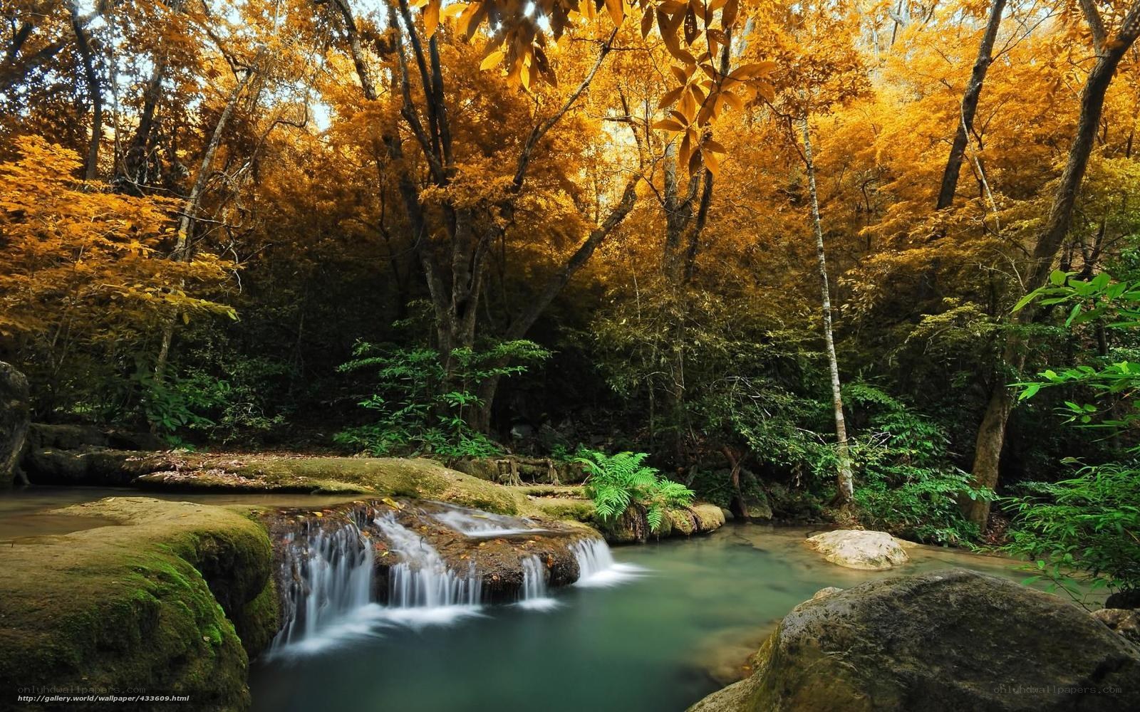 Autumn forest waterfall