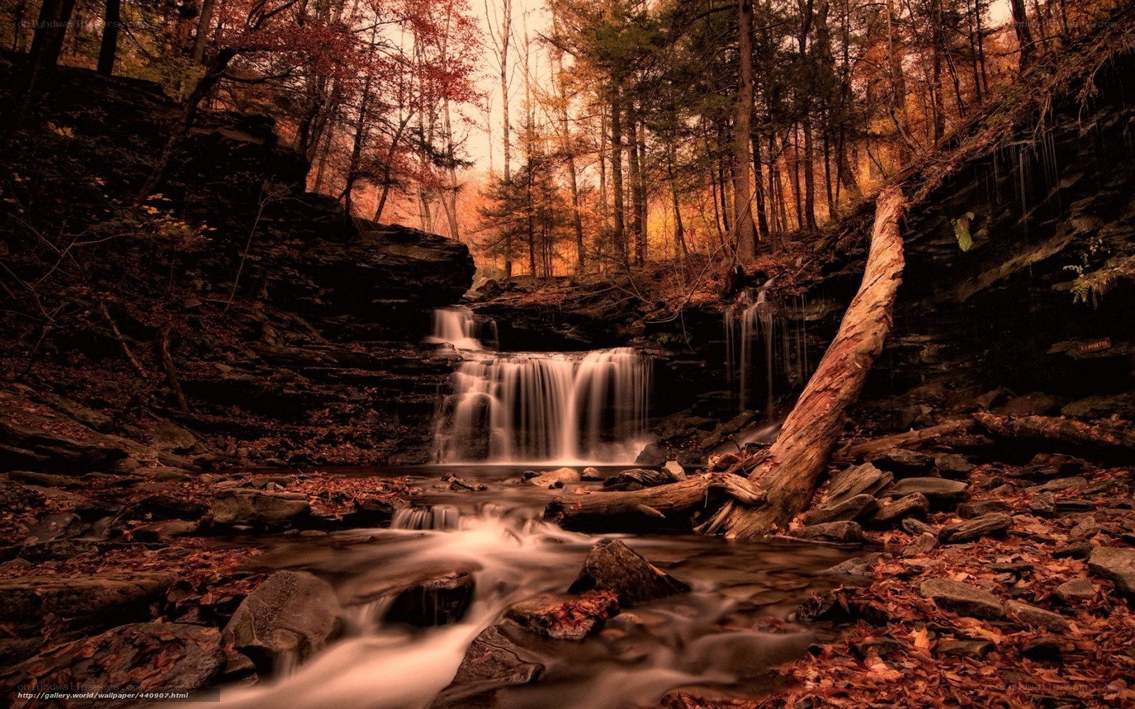 Autumn forest waterfall