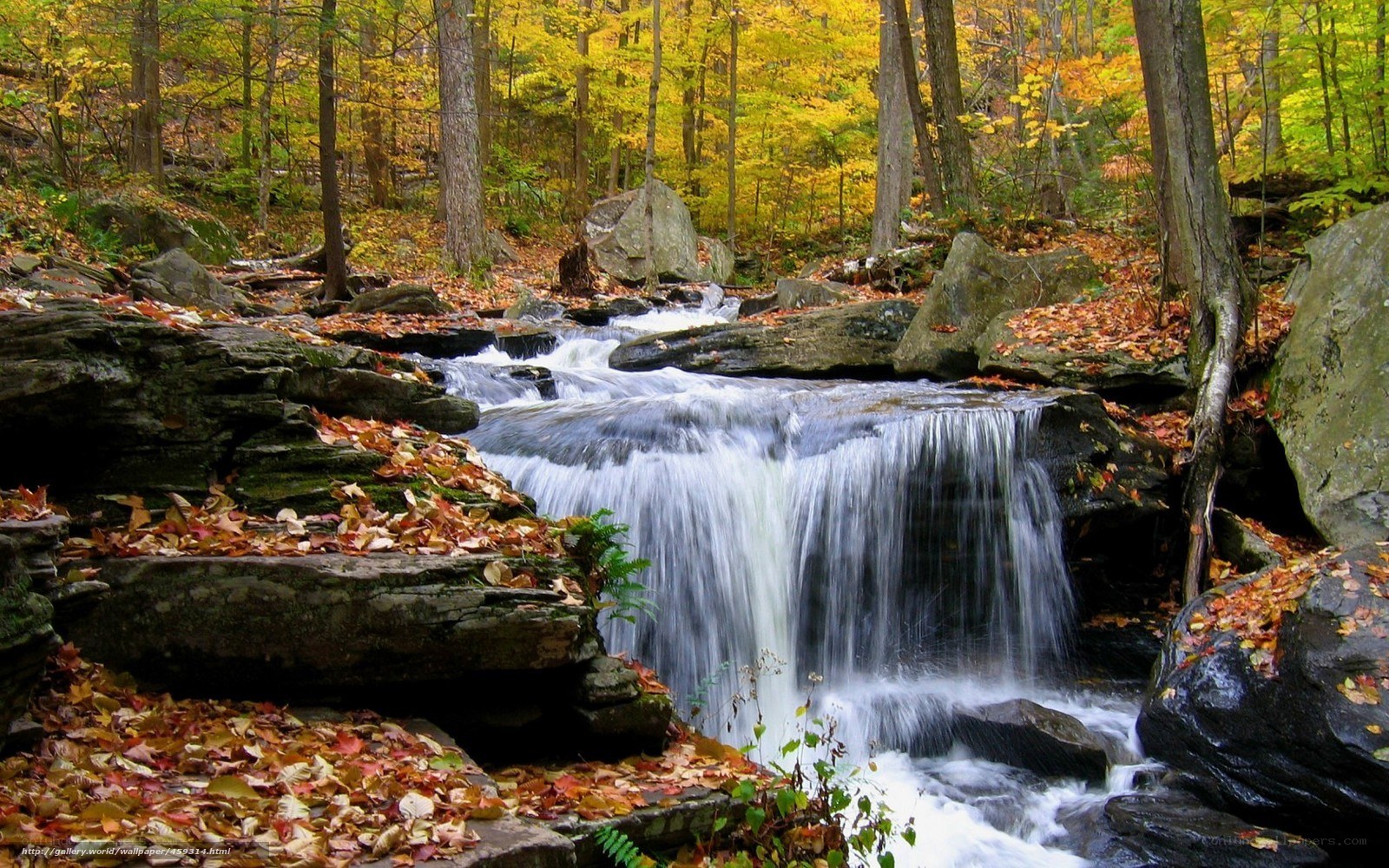 Autumn forest waterfall