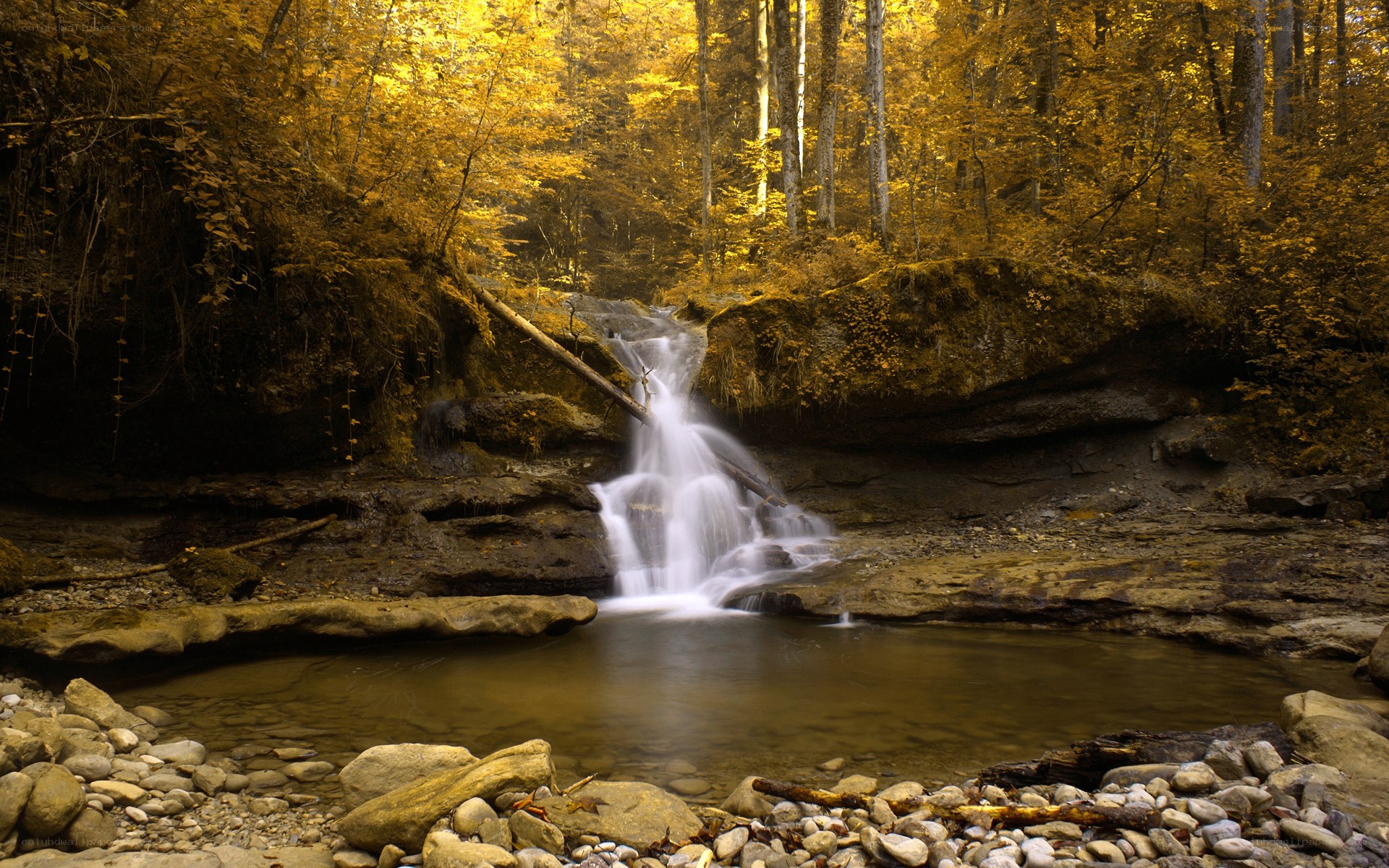 Autumn forest waterfall