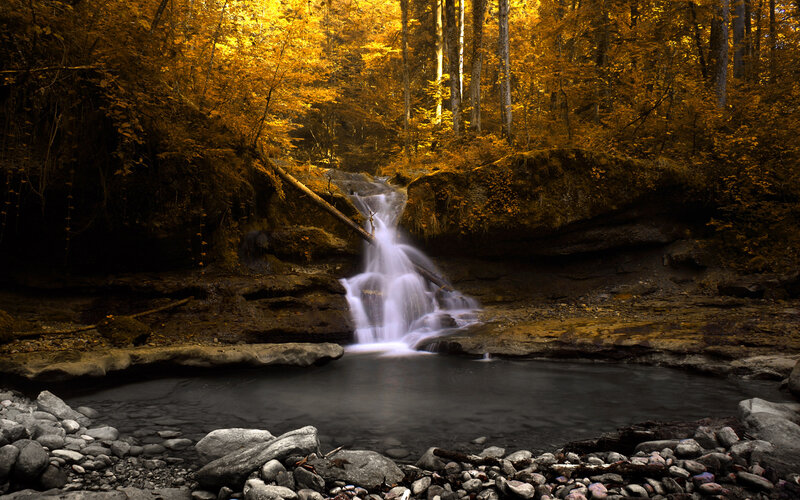 Autumn forest waterfall