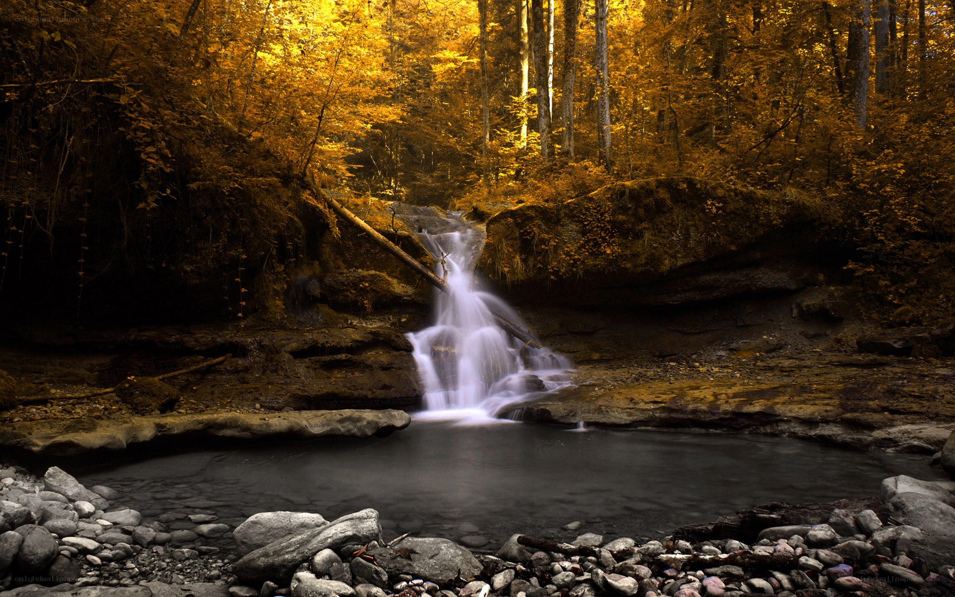 Autumn forest waterfall