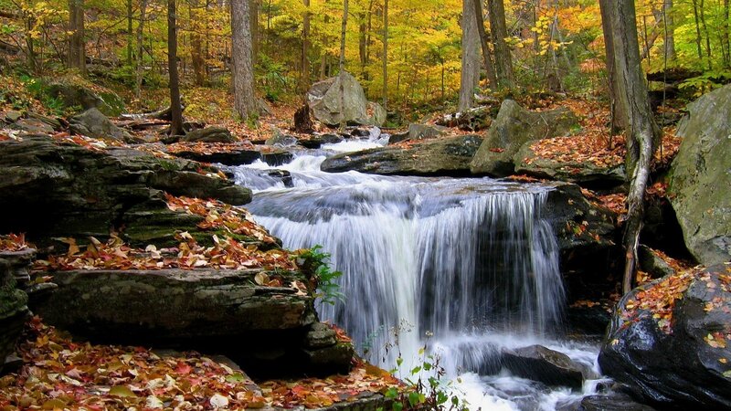 Autumn forest waterfall