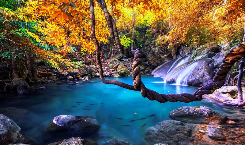 Autumn Forest Waterfall — Blue, Serene