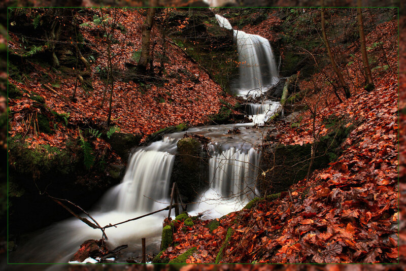 Autumn Forest Waterfall — Brown