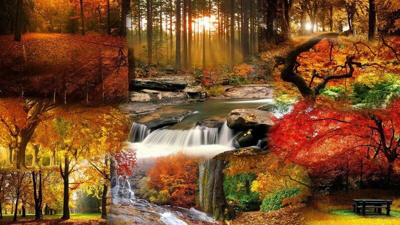 Autumn forest waterfall collage