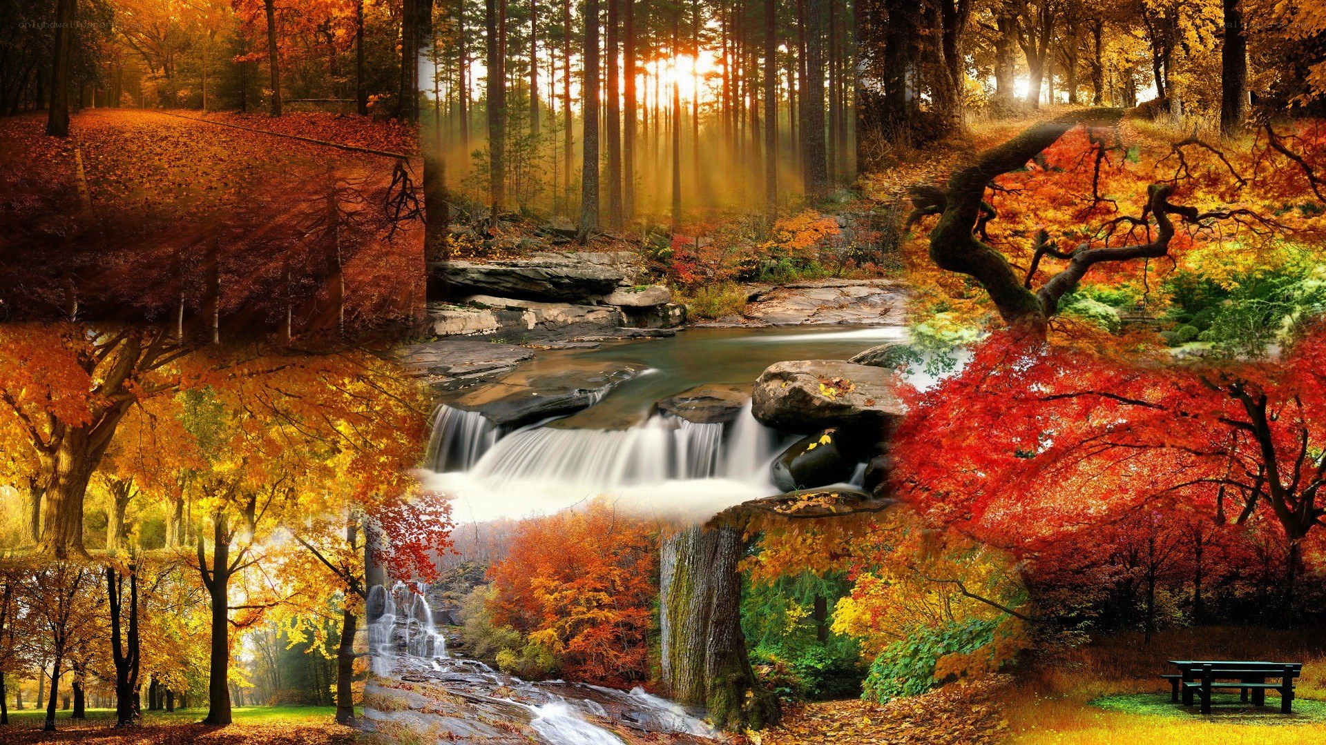 Autumn forest waterfall collage