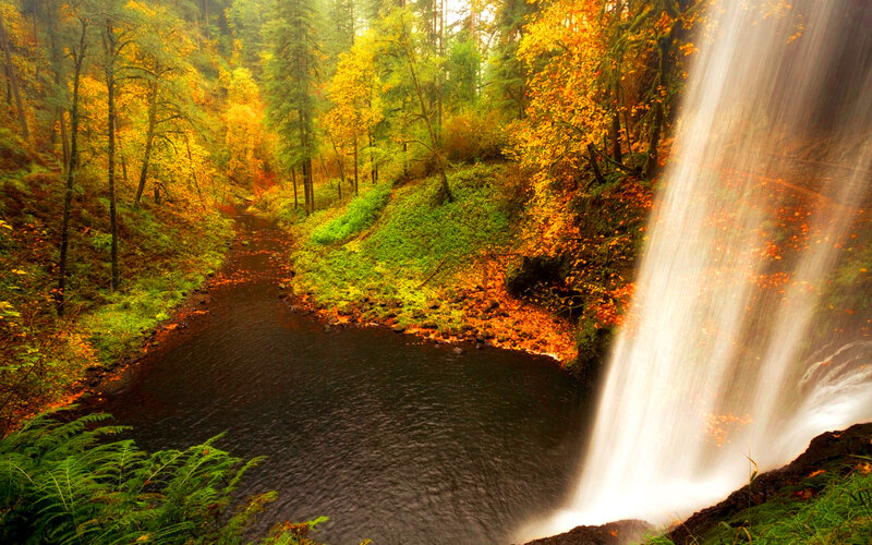 Autumn Forest Waterfall — Green, Serene, Photograph, River