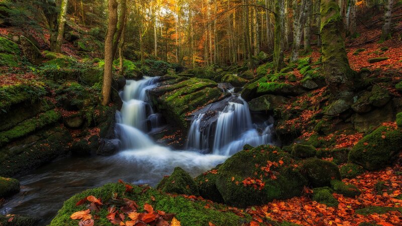 Autumn Forest Waterfall — Green, Serene, Photograph, Trees, Rocks