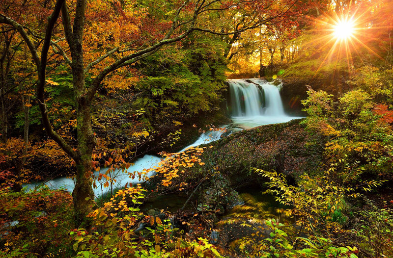 Autumn Forest Waterfall — Green, Serene, Photograph, Trees