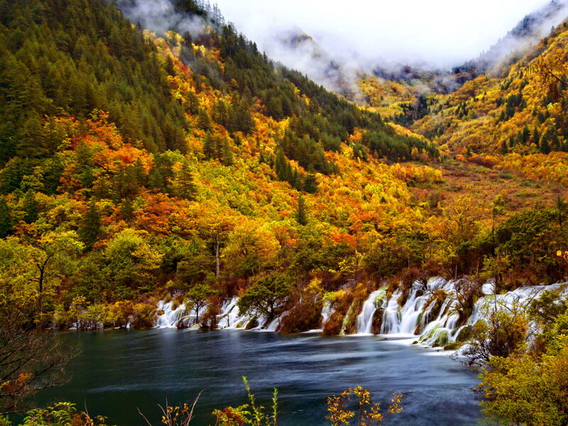Autumn Forest Waterfall — Green
