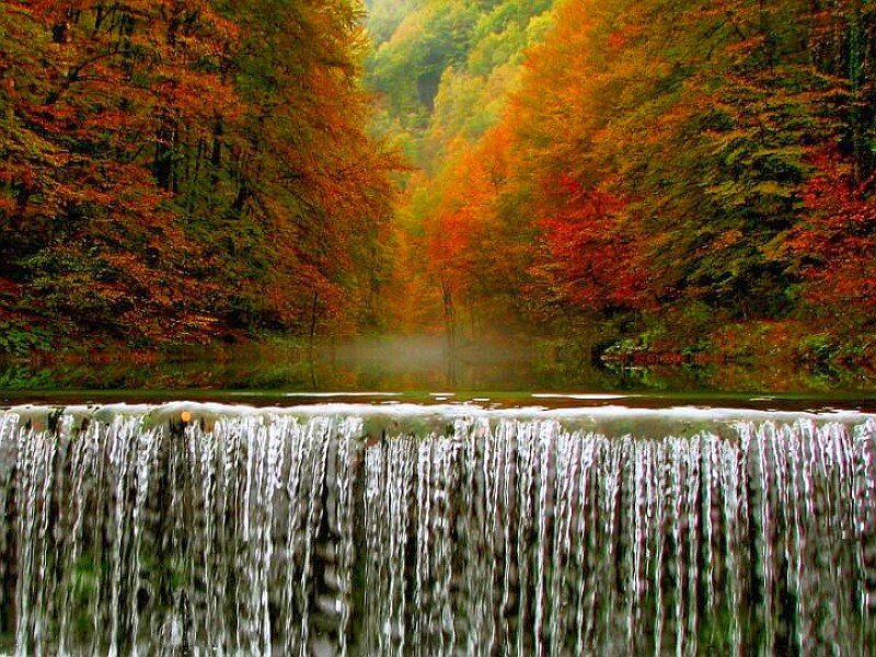 Autumn Forest Waterfall — Orange, Serene, Photograph, Trees, River
