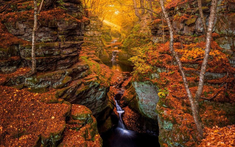 Autumn Forest Waterfall — Orange, Serene, Photograph, Trees, Rocks