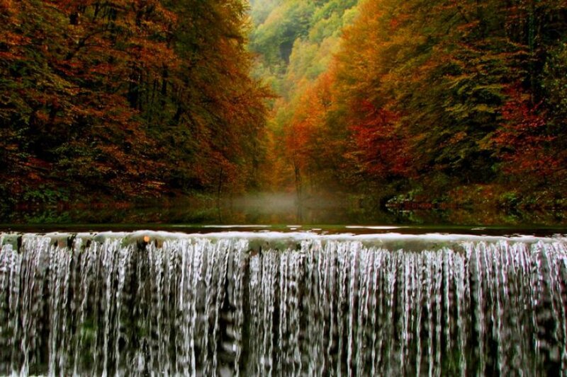Autumn Forest Waterfall — Orange, Serene