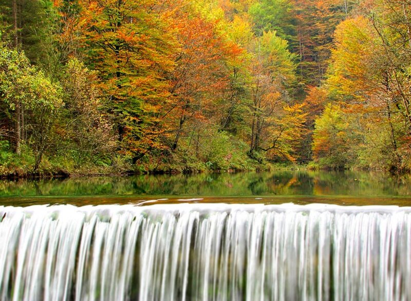 Autumn Forest Waterfall — Orange