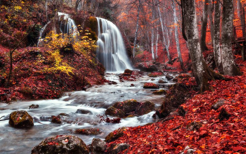 Autumn Forest Waterfall — Red, Serene, Photograph, Stream