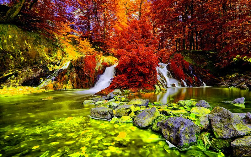 Autumn Forest Waterfall — Red, Serene, Photograph