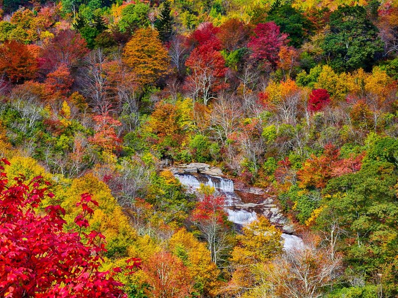 Autumn Forest Waterfall — Red, Serene, Photograph, Trees, River, Rocks