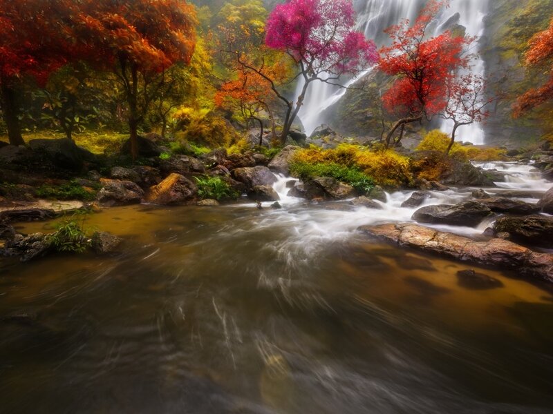 Autumn Forest Waterfall — Red, Serene, Photograph, Trees, River