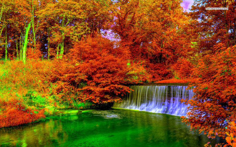 Autumn Forest Waterfall — Red, Serene, Photograph, Trees, Stream