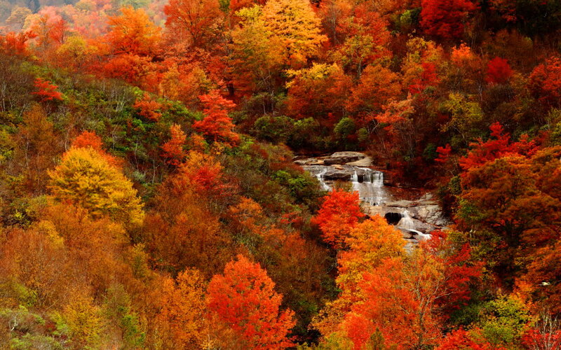 Autumn Forest Waterfall — Red, Serene, Photograph, Trees