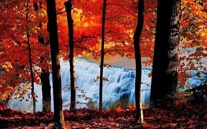 Autumn Forest Waterfall — Red